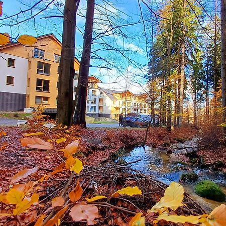 Apartamenty Nad Zlotym Potokiem 斯克拉斯卡波伦巴 外观 照片