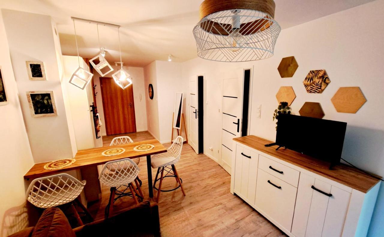 Apartamenty Nad Zlotym Potokiem 斯克拉斯卡波伦巴 外观 照片