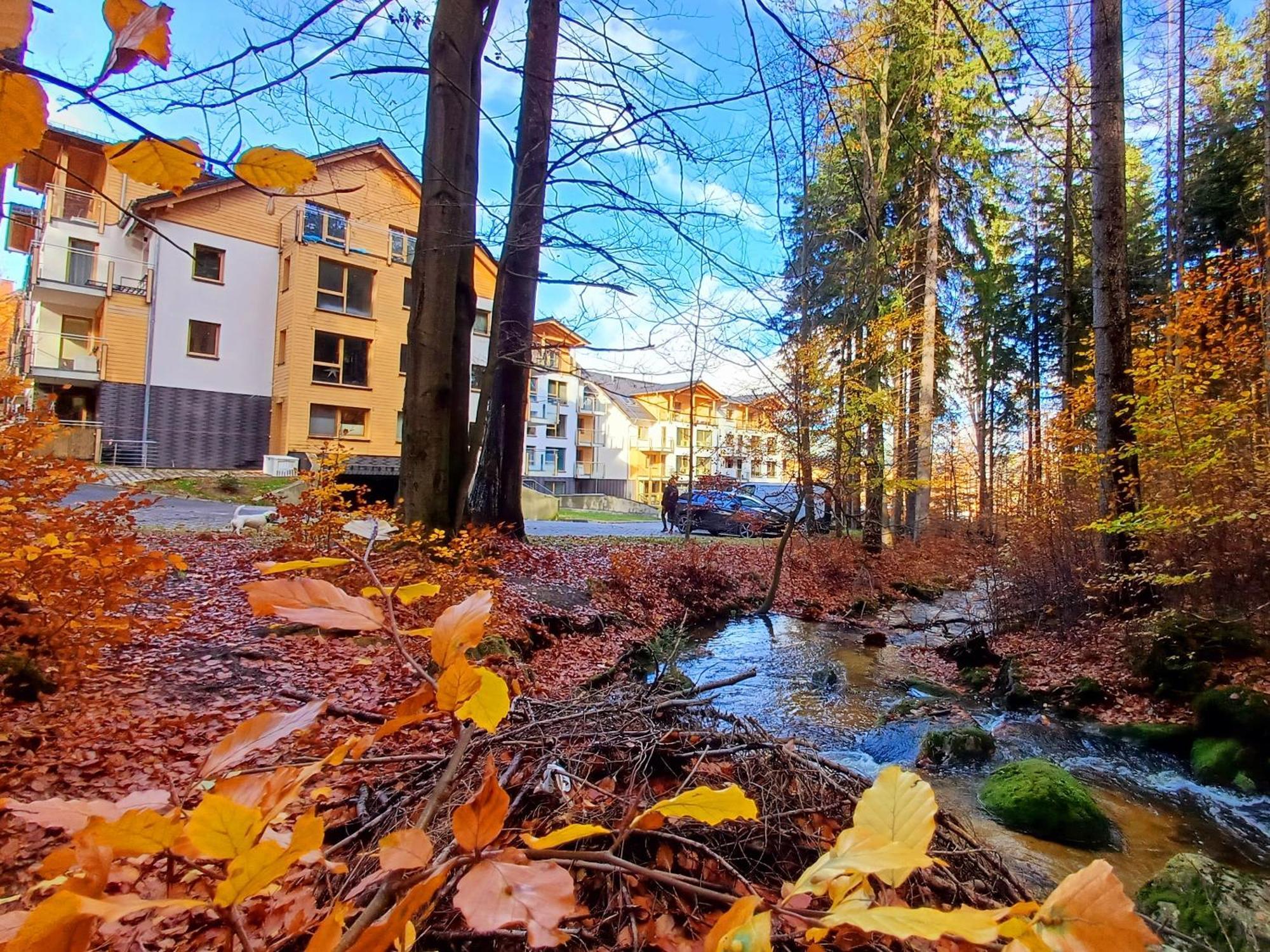 Apartamenty Nad Zlotym Potokiem 斯克拉斯卡波伦巴 外观 照片